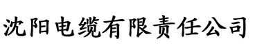 油条视频app网站直接看电缆厂logo